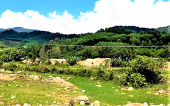 Huế: Bắt giữ đối tượng nổ súng trong đêm