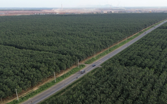 Hoàn tất giao ranh mốc ĐT769 để mở rộng đường “xương sống” kết nối sân bay Long Thành