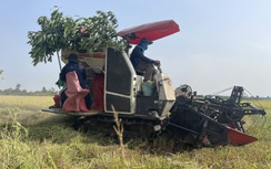 Nông nghiệp xanh, du lịch sinh thái bền vững với trải nghiệm khác biệt ở Bà Rịa - Vũng Tàu