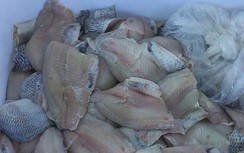 Hà Nội: Tạm dừng suất ăn bán trú của Công ty Đào Lượng cấp cho Trường Tiểu học Chu Minh