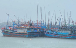 Tàu cá Gia Lai bị tông chìm, thuyền trưởng mất tích