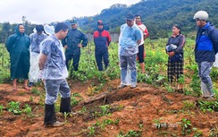 Vụ vết nứt núi dài 200m ở Quảng Ngãi: Kiến nghị đào bóc hạ thấp quả đồi