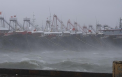 Bão Matmo tàn phá các khu vực ven biển, Trung Quốc kích hoạt ứng phó khẩn cấp