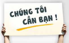 Chủ động kết nối với nhà tuyển dụng: Chiến lược tìm việc thông minh