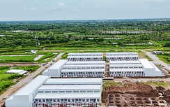 Sức bậc mới của Công ty Phát triển nhà Cà Mau