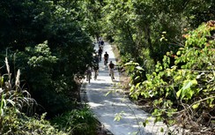 Nông thôn mới: 5km đường nối dài kinh tế xã đảo