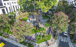 Videc Group bắt tay Cen Land phân phối độc quyền dự án Green Little Town Gia Lâm