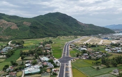 Gia Lai: Chuyển đổi hơn 33ha rừng xây khu tái định cư phục vụ khu công nghiệp Phù Mỹ