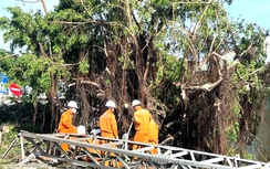 Gia Lai: Gần 90% khách hàng vùng tâm bão 13 đã có điện trở lại