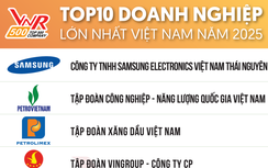 Top 500 Doanh nghiệp lớn nhất Việt Nam năm 2025, ngành nào dẫn đầu? 