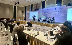 Quan hệ Việt Nam – Hoa Kỳ: Từ hợp tác kinh tế đến đối tác cùng phát triển