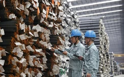 Tập đoàn Hòa Phát nằm trong top 10 doanh nghiệp lớn nhất Việt Nam