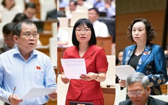 ĐBQH: Kiểm soát chặt viên chức làm ngoài để ngăn ngừa rủi ro