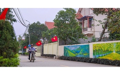 Hiệu quả cuộc vận động Toàn dân đoàn kết xây dựng nông thôn mới, đô thị văn minh ở Phú Thọ