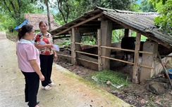 Phú Thọ: Phát triển kinh tế gắn liền với chăm lo an sinh xã hội cho người dân