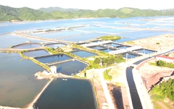 Quảng Ninh: Xã Hải Lạng đổi thay toàn diện từ hạ tầng tới đời sống