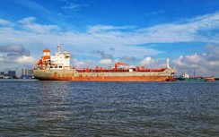 Đề xuất cho tàu dầu PVT Estella quốc tịch nước ngoài được vận tải nội địa