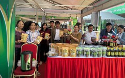 Hành trình phát triển sản phẩm từ quả nhàu của nữ nông dân Bắc Ninh