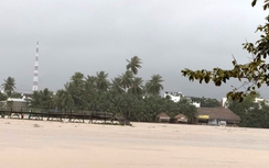 Khánh Hòa: Lũ cuốn trôi hơn 100m cầu gỗ Phú Kiểng, hàng nghìn hộ dân phải đi đường vòng