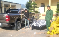 Bắt đối tượng vận chuyển trái phép 224 bình khí cười tại Quảng Ninh