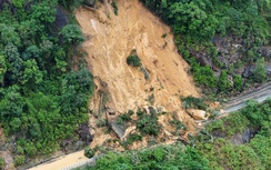 Lâm Đồng: Hai xe tải chở hoa mắc kẹt do sạt lở đèo Khánh Lê, tài xế cầu cứu