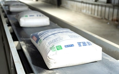 Xi măng đồng loạt tăng giá thêm 100.000 đồng/tấn