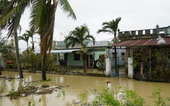 Gia Lai: 3.200 hộ bị ngập lụt, cô lập do mưa lớn kéo dài