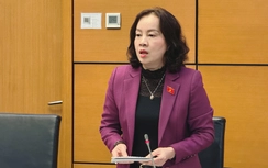 ĐBQH: Cần ưu tiên đặc biệt cho cán bộ ngoại giao tại địa bàn có xung đột