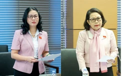 Cấp thiết đầu tư sân bay Gia Bình, tạo cực tăng trưởng mới