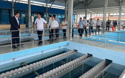 Cần Thơ yêu cầu rà soát toàn bộ công trình khai thác nước ngầm trước 31/12