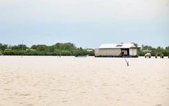 Đầm Thị Tường - "biển hồ giữa đồng bằng" điểm đến lý tưởng ở Cà Mau