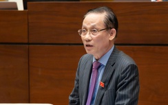 Bộ trưởng Ngoại giao làm rõ về thí điểm lập văn phòng đại diện của UBND tỉnh ở nước ngoài