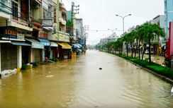 Hỗ trợ người nộp thuế tại các địa phương bị tổn thất do bão lũ