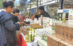 Hà Nội thúc đẩy OCOP, xây dựng nông thôn mới bền vững
