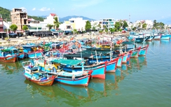 Khánh Hòa dừng mọi hoạt động biển từ 28/11 do bão số 15