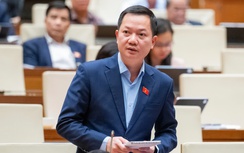 ĐBQH: Quy hoạch cần gắn với quản trị rủi ro thiên tai