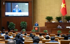 Xem xét bổ sung định danh người bán hàng trong nước qua VNeID