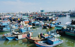 Bão Kalmaegi áp sát Biển Đông, Đà Nẵng - Khánh Hòa khẩn trương phòng chống