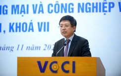 Tân Chủ tịch VCCI là ai?