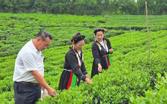 Thái Nguyên: Xã Vô Tranh hướng tới nông thôn mới hiện đại, bền vững và giàu bản sắc