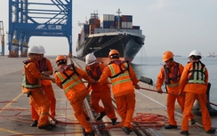 Toàn cảnh giao thông 30/11: Bão số 15 diễn biến phức tạp, siết chặt cấp phép rời cảng
