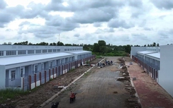 Công ty Phát triển nhà Cà Mau khẩn trương hoàn thiện hạ tầng