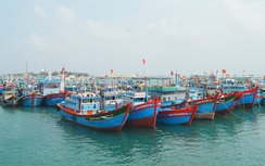 Hải Phòng: Kiên quyết ngăn chặn, không để tàu cá vi phạm khai thác IUU