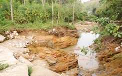 Phú Thọ: Xây dựng đề án tổng thể cải tạo, nâng cấp và đảm bảo an toàn hồ đập