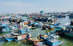 Ứng phó bão số 13: Khánh Hòa thành lập 9 tổ công tác