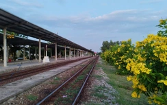 Phong trào "đường tàu - đường hoa" kết hợp tuyên truyền, nâng cao nhận thức ATGT đường sắt