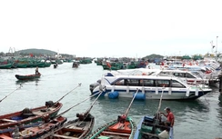 Tháo gỡ khó khăn vận chuyển khách tham quan đảo bằng phương tiện thủy nội địa ở An Giang