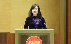 Thông qua Luật Dân số, ưu tiên mua nhà ở xã hội với người có từ 2 con đẻ trở lên