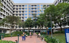 Xử nghiêm hành vi môi giới trái phép, trục lợi trong mua bán nhà ở xã hội