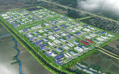 Các KCN Cần Thơ thu hút hơn 10 tỷ USD vốn đầu tư, sản xuất kinh doanh tăng trưởng tích cực